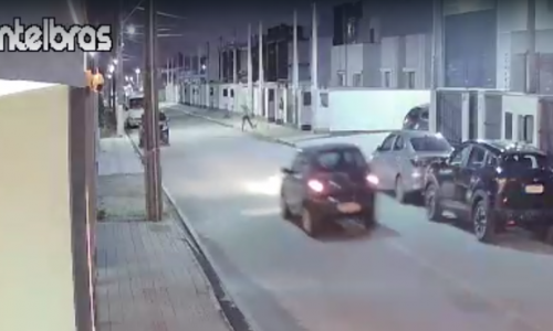 Cão é atropelado e motorista foge sem prestar socorro em Tijucas