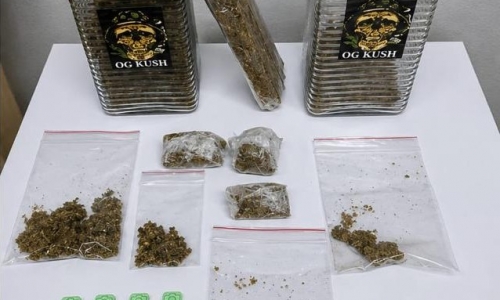 Suspeito de 19 anos por tráfico é detido com ecstasy “estampado” e maconha em imóvel