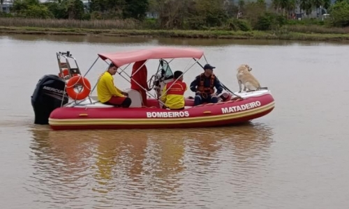 ATUALIZAÇÃO 🚨 | Corpo é encontrado na praia de Tijucas; características condizem com as de Célia Regina Chagas