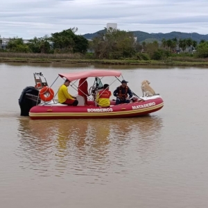 🚨 URGENTE | Corpo é encontrado na praia de Tijucas; caso pode ter ligação com desaparecimento de Célia Regina Chagas