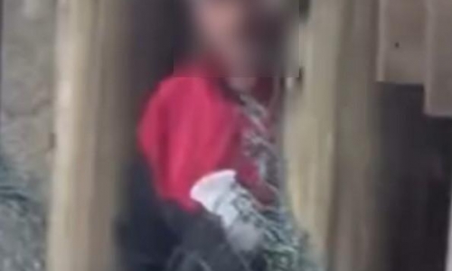 Após imagens circularem na internet, suspeito de obscenidade é identificado e levado à delegacia