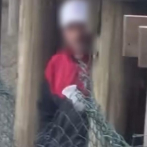 Após imagens circularem na internet, suspeito de obscenidade é identificado e levado à delegacia