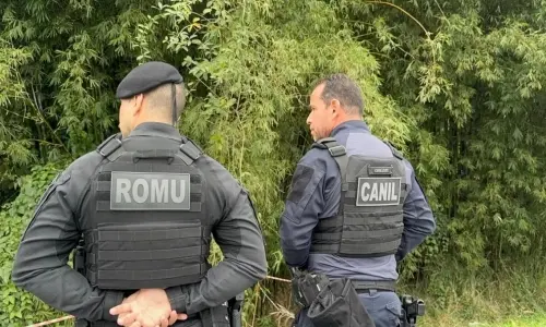 Corpo com ferimentos na cabeça é encontrado às margens da BR-101