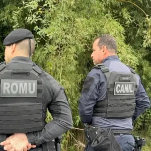 Corpo com ferimentos na cabeça é encontrado às margens da BR-101