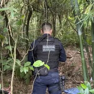 Espancamento é principal hipótese em morte investigada às margens da BR-101 em Itapema