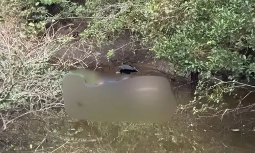 Corpo em decomposição é localizado em área de mangue; identificação no local não foi possível