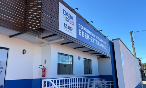 Mutirão de castração animal chega a município com vagas limitadas em setembro