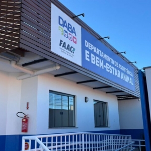 Mutirão de castração animal chega a município com vagas limitadas em setembro