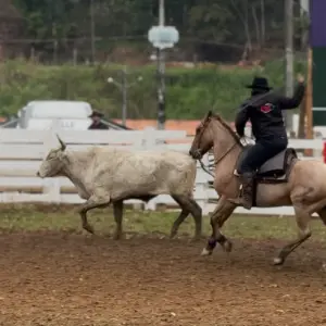 LAÇO ▶️ | Prova de Laço Comprido foi um dos destaques do rodeio em Canelinha
