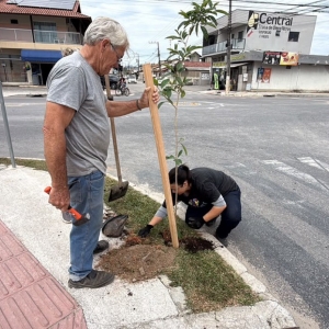 Com 80 novas mudas, Tijucas amplia áreas verdes e número de árvores plantadas chega a 550 em 2026