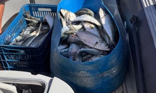 Quatro pescadores são detidos por pesca ilegal em reserva biológica marinha