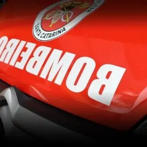 Trabalhador morre após ser atingido por árvore que ele mesmo cortava