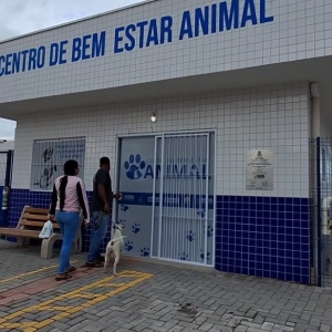 PORTO BELO ▶️ | Seminário debate bem-estar e proteção animal