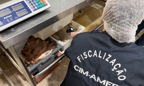 Operação de fiscalização sanitária descarta mais de 10 toneladas de pescados irregulares no Litoral