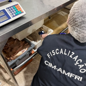 Operação de fiscalização sanitária descarta mais de 10 toneladas de pescados irregulares no Litoral