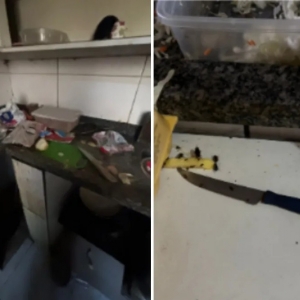 Restaurante de delivery é condenado após operar com baratas e burlar interdições em BC