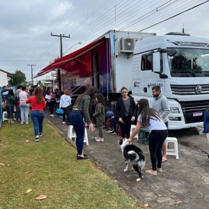 Moradores do Joáia poderão levar seus cães e gatos para castrar de graça; veja como participar