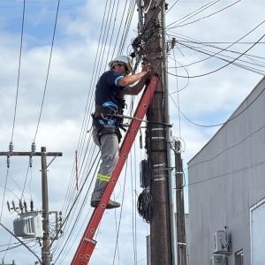 Mais de 700 quilos de fios inutilizados foram retirados em duas etapas da operação em Tijucas