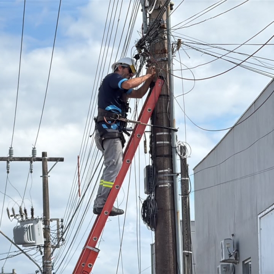 Mais de 700 quilos de fios inutilizados foram retirados em duas etapas da operação em Tijucas
