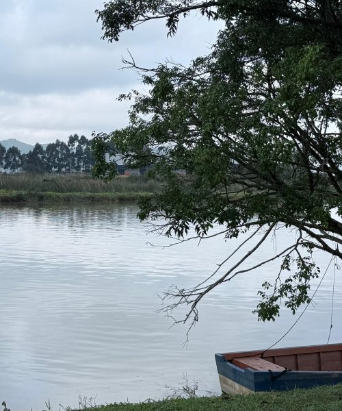 Inverno chega a Santa Catarina com previsão de frio, geada e instabilidade