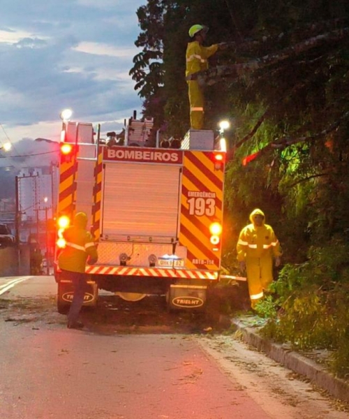 Forte chuva provoca série de ocorrências e mobiliza Defesa Civil