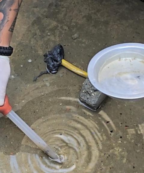 Vistoria epidemiológica é realizada após relatos de aumento de pernilongos em bairro