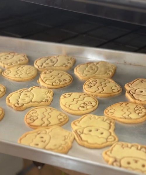 Ação solidária de Páscoa ajuda o Lar do Idoso de Tijucas