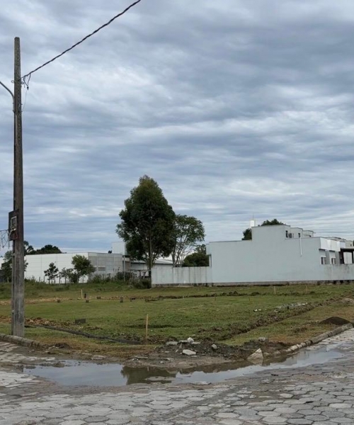 Após mobilização popular novo terreno será buscado para construir canil em Tijucas