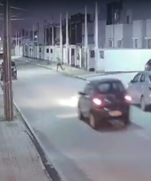 Cão é atropelado e motorista foge sem prestar socorro