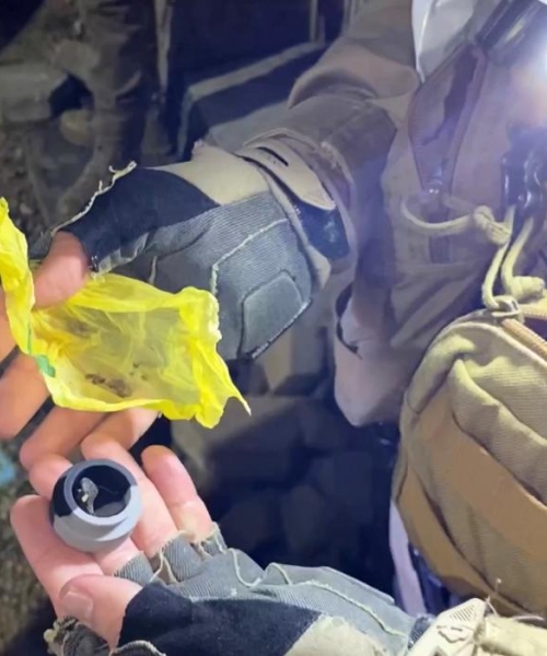 Variedade de drogas são apreendidas durante operação contra o tráfico