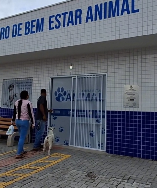 1º Seminário Municipal de Bem-Estar Animal acontece em Porto Belo 
